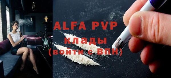 стаф Алзамай