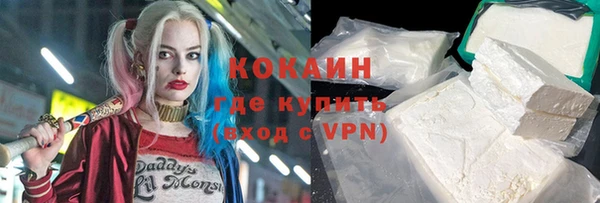 стаф Алзамай