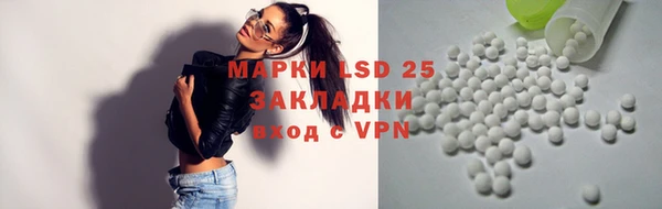 стаф Алзамай