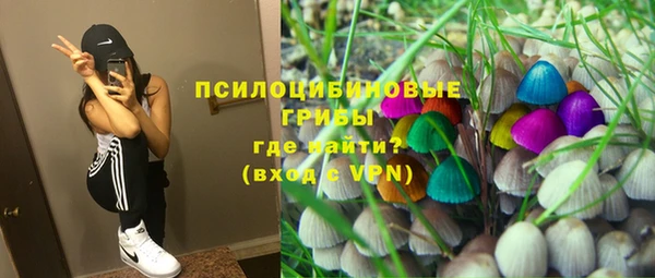 гидропоника Мегион