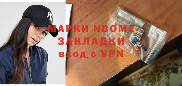 стаф Алзамай