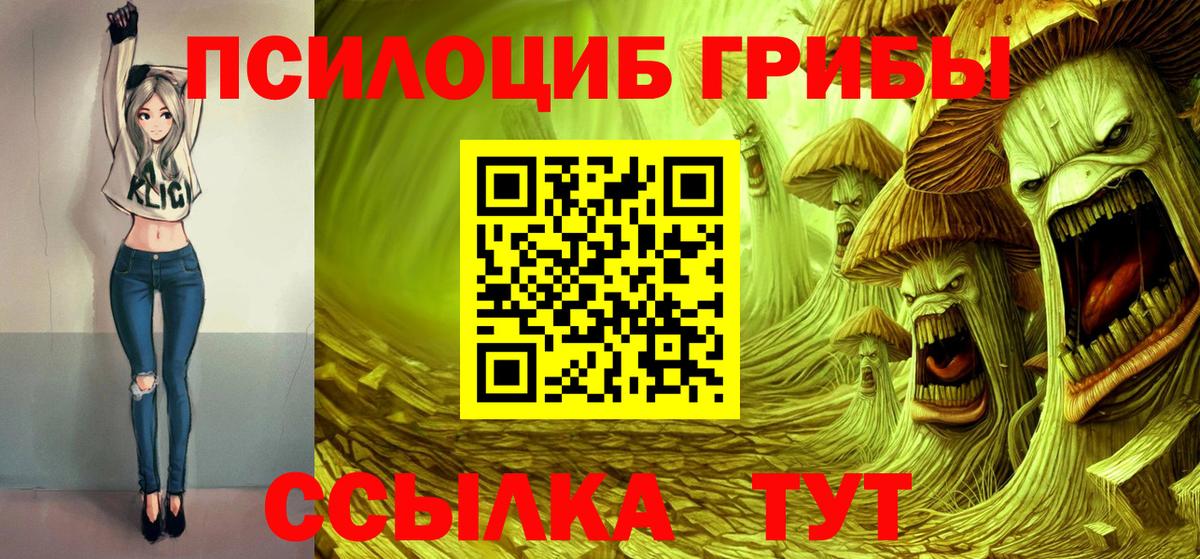 Галлюциногенные грибы прущие грибы  Вход с VPN  Одинцово 