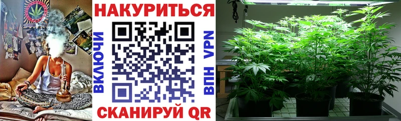 Марихуана планчик  Одинцово 
